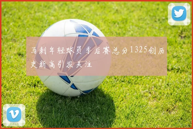 马刺年轻球员季后赛总分1325创历史新高引发关注